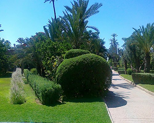 Aménagement-Jardin-Marrakech3