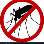 Traitement_contre_moustiques